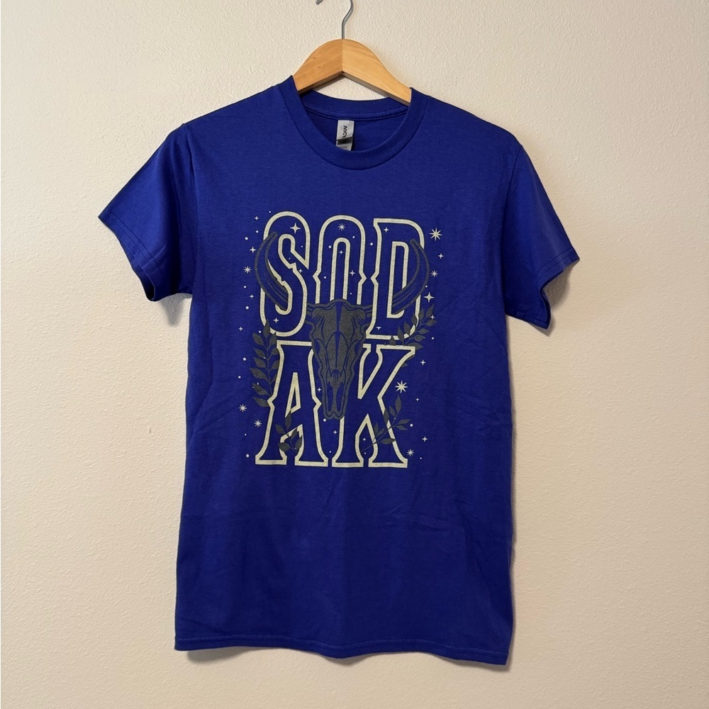 Gildan Royal Blue Graphic Tee